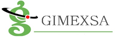 G I M E X S A